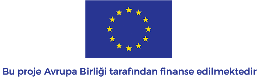 European Union Logo